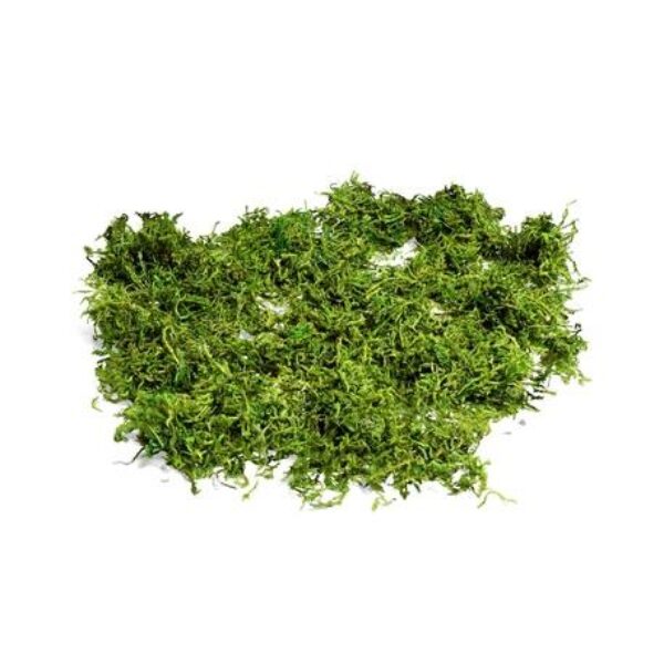 φυσικό βρύο