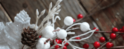 Χριστουγεννιάτικα