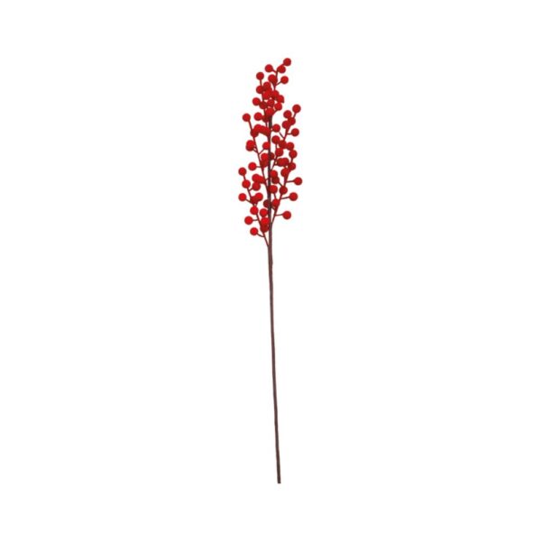 κλαδί κόκκινα Berries