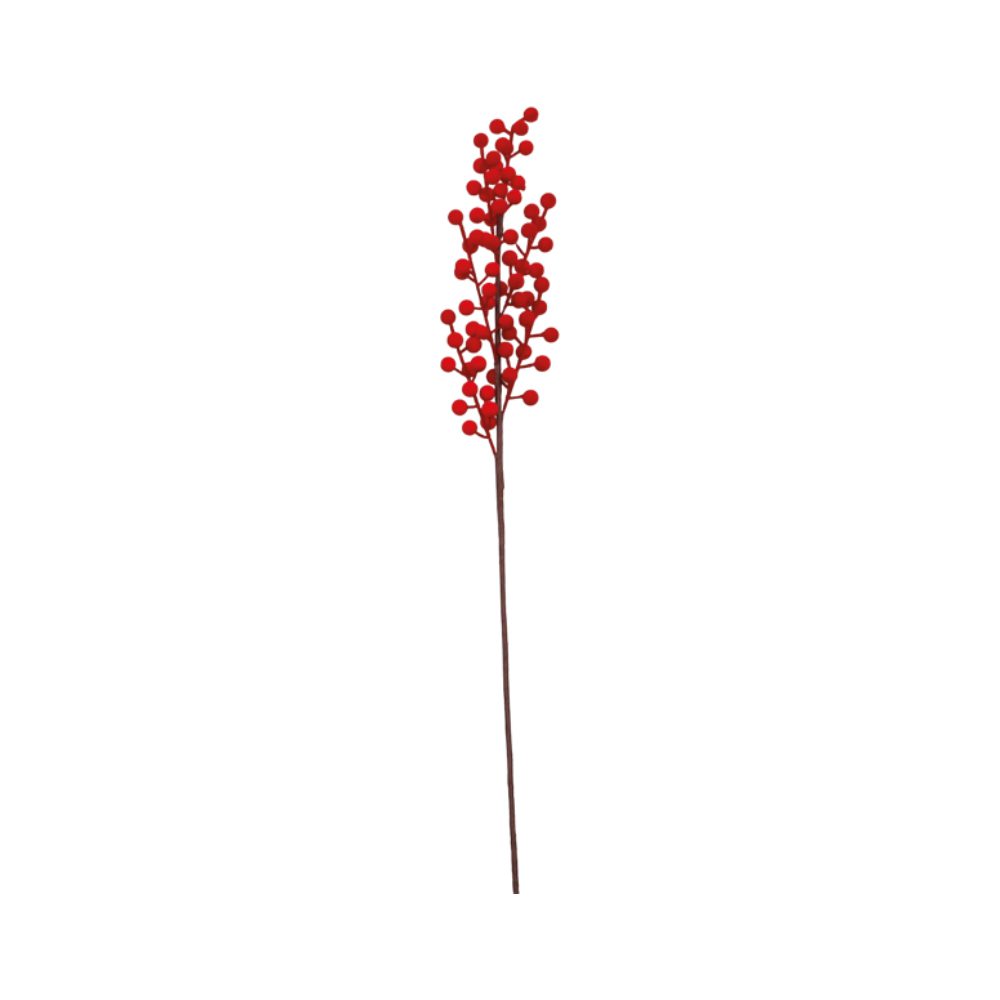 κλαδί κόκκινα Berries